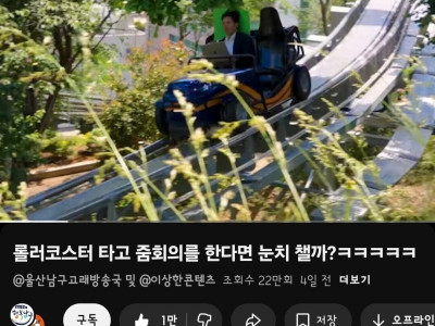 롤러코스터타고 줌회의를 한다면 눈치챌까?
