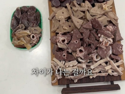 광장시장 vs 경동시장 순대 만원어치 비교