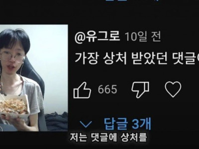 유튜버가 상처 받았다는 미친 댓글