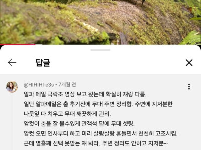 선택받은 극락조와 그렇지 않은 극락조의 차이