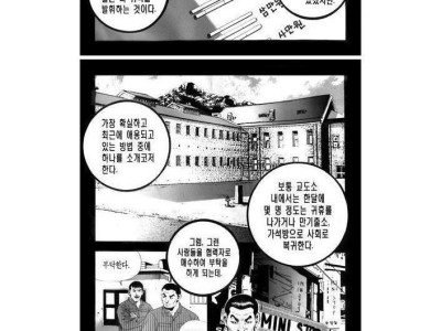극 사실주의 만화가