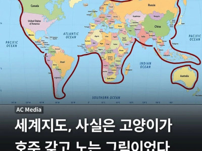 세계지도의 비밀 ㄷㄷㄷㄷ.jpg