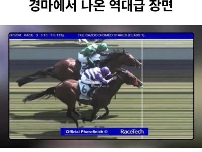 경마에서 나온 역대급 장면.jpg