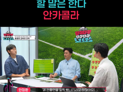 국내 축구 팬들한테 일침 난린 안정환