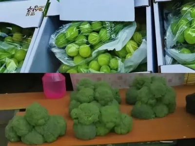 없는게 없다는 시골 시장.jpg