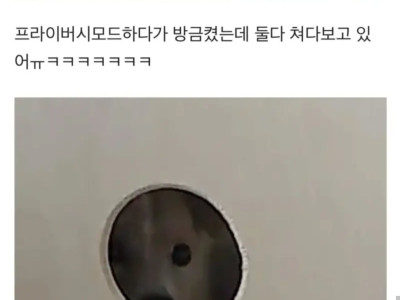 홈캠으로 훔쳐보는거 다 알고있다.jyp
