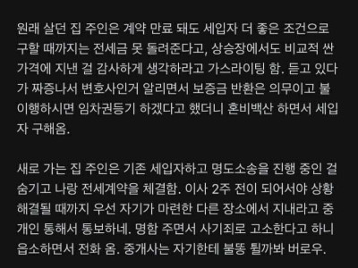 김앤장 변호사의 전세사기 썰.jpg