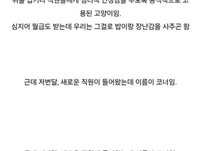 미국의 직장내 연공서열 문화.jpg