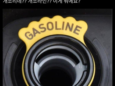 아빠차 주유구 열었더니 개소리네