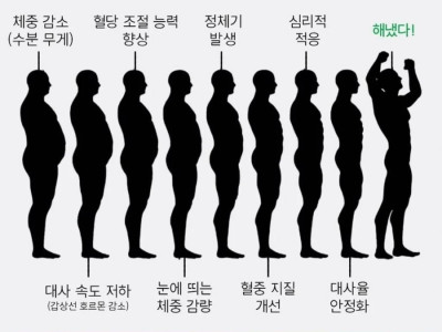 다이어트할때 살이 빠지는 과정