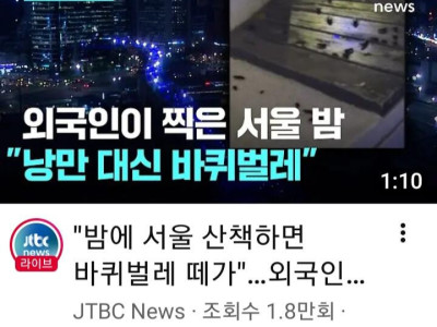 서울로7017 바퀴벌레 바글바글..외국인들 경악