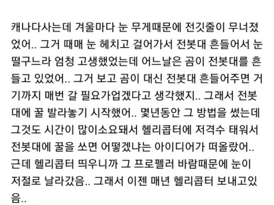 게으른 사람이 일을 더 잘한다고 느꼈던 일화