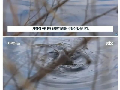 대전에서 5천만 원어치 잉어 수백 마리 훔쳐 간 범인