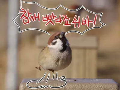 디즈니랜드에 간 안내견