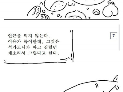 송나라가 기록한 고려의 식문화