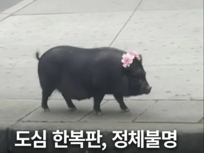 꽃단장하고 오니 사람들이 쳐다보네