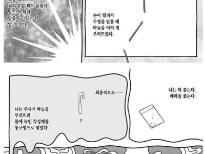 필로폰 중독자가 그린 만화