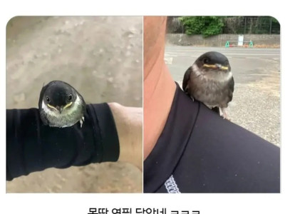 이 시기쯤 운좋으면 겪는다는 상황