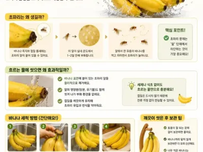바나나 사면 바로 씻어야 하는 이유