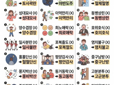 알아두면 도움되는 헷갈리는 사자성어들