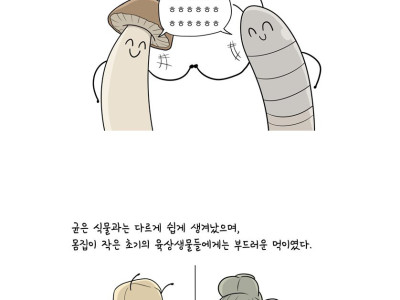만화로 배우는 곤충의 진화 - 균과 곤충