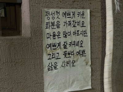 식물을 키우면 마음도 예뻐진다