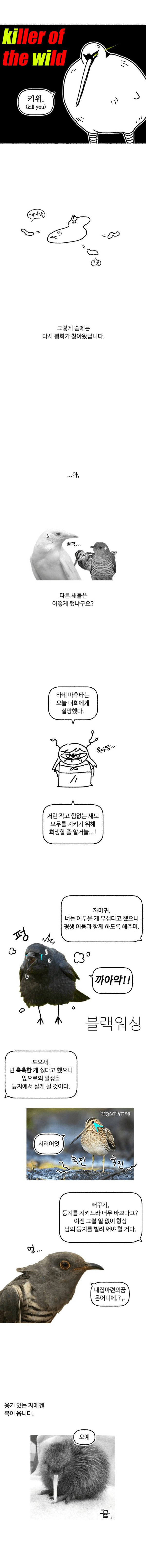 btd2cff9ed5c6f335301fc0fc3021e2cc6.png