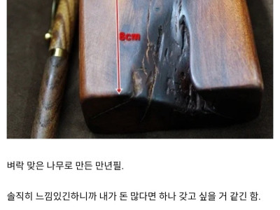 (약혐) 번개에 맞으면?.jpg