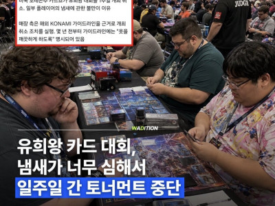 유희왕 대회 근황