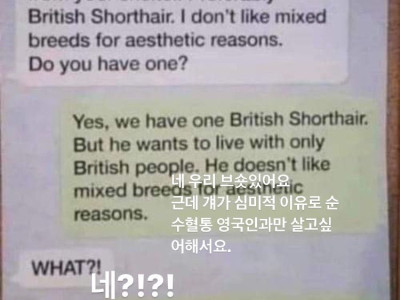 유기견 보호소에서 순혈만 찾는 썰