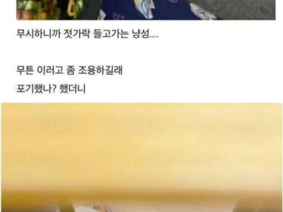 회덮밥이 먹고싶은 고양이