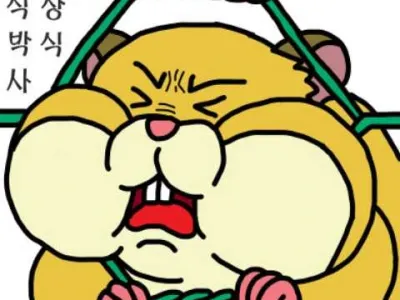 진순파로 웃자 가보자