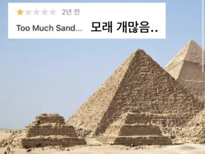 피라미드 후기에 올라온 악플