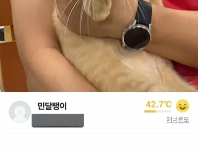 당근)햇반 용기 나눔 부탁해요.