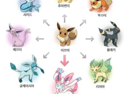 한국에도 실존한다는 이브이.jpg