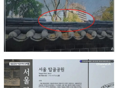 턱걸이 때문에 전과자 된 남자