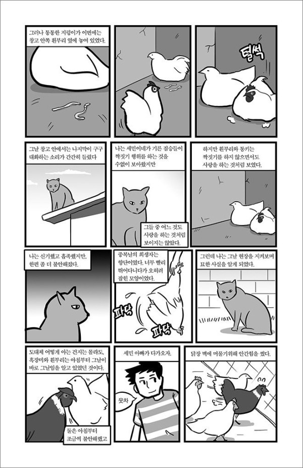 bt02af92ce7f2f12d995d9af09aee76366.jpg