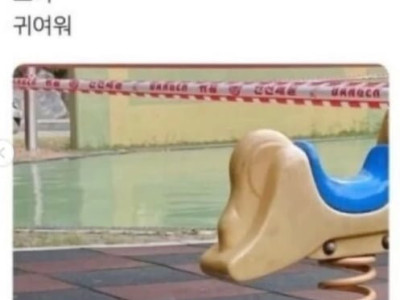 귀여운 착시현상