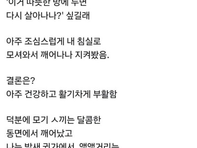 스스로 불러온 재앙.jpg