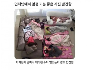 옹기종기ㅋㅋ