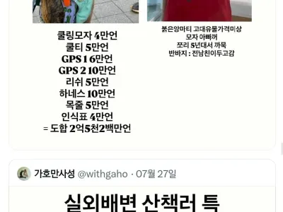 실외배변 산책러 견주들 옷차림 특징