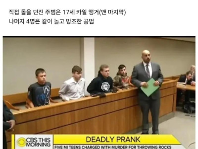 장난으로 사람 죽인 미국 10대 5명