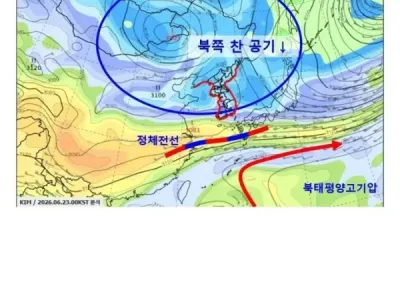 시원한 대한민국 여름 근황