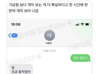 아빠가 날씨 확인할때 쓴다는 방법
