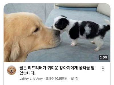 귀엽고 흉악스러운 썸네일