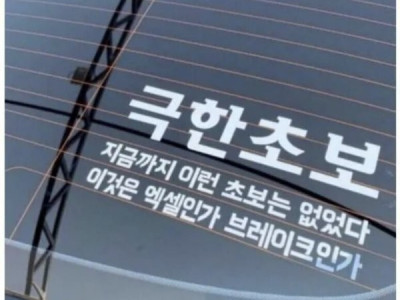 지금까지 이런 초보는 없었다