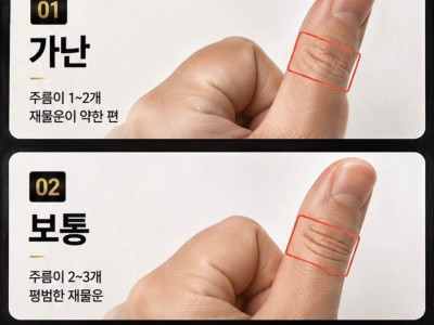 재물운 테스트