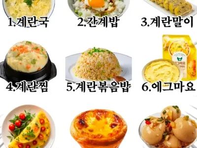 평생 계란요리 딱 3가지만 먹을 수 있다면?