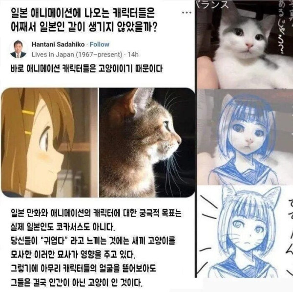 btd2b53f8fde35b3267aadd961c18087f9.jpeg