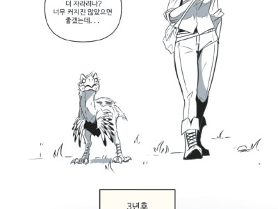 병아리 기르는 만화